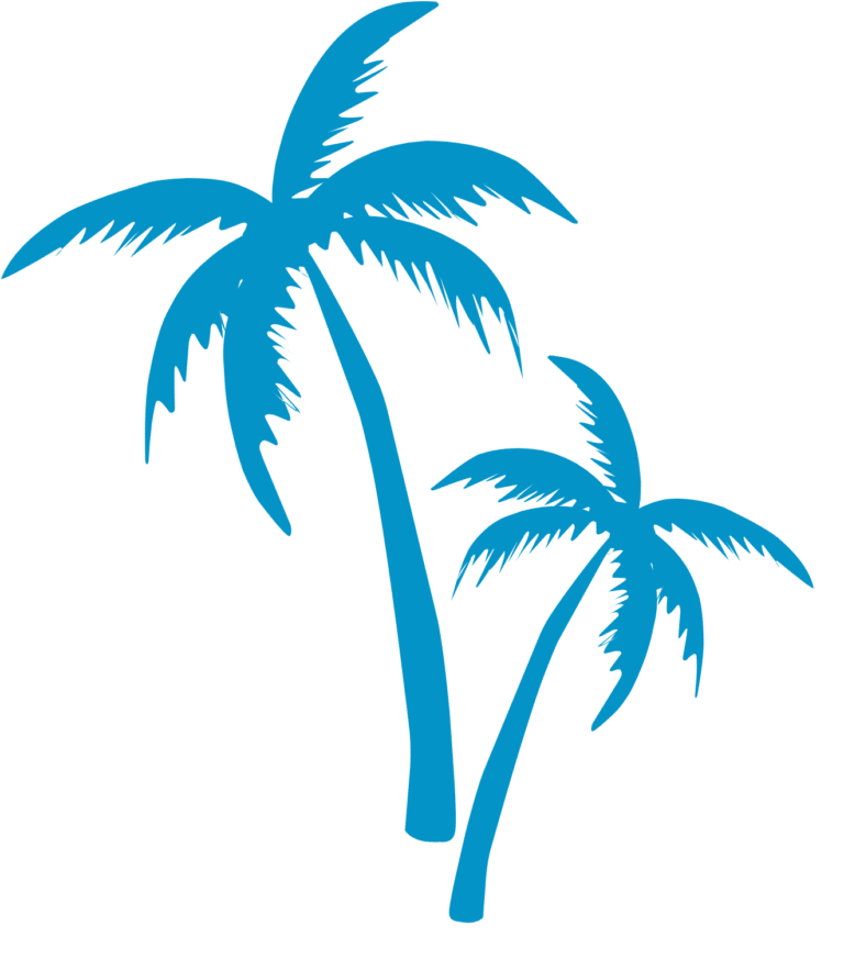 Double blue palm tree
